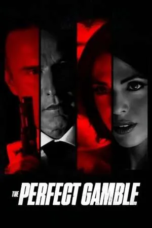 The Perfect Gamble (2025) - Poster