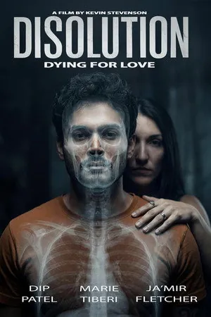 Disolution (2026) - Poster